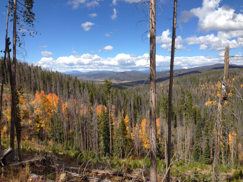 
Mountain biking in Winter Park
