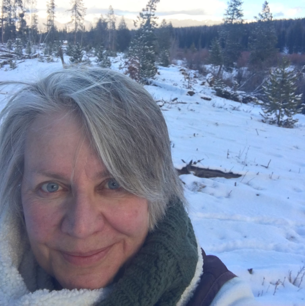 Sue Volk 