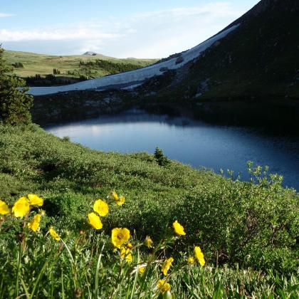 Rollins Pass Alpine Lake With Yellow Flowers near