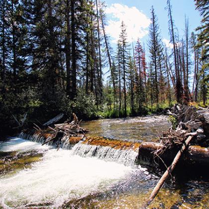 Winter Park Colorado Waterfall