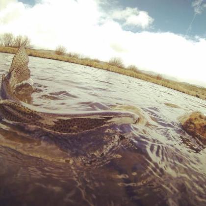 Fishing The Colorado River