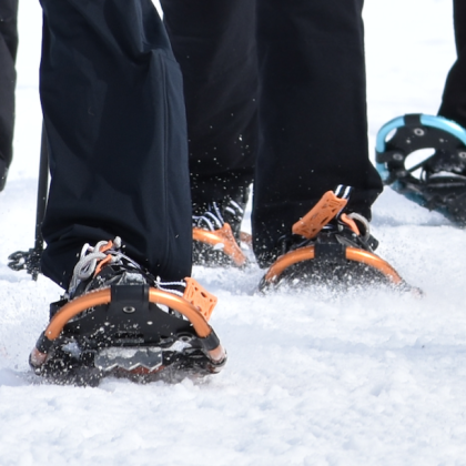 Snowshoe Group