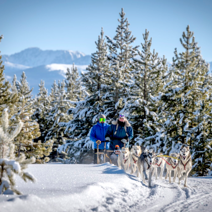 Redemption Dog Sled Tours - YMCA