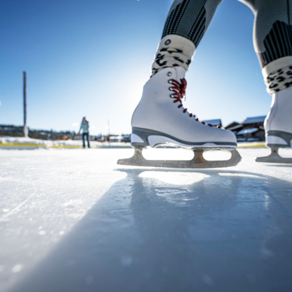 Close Up Ice Skates - DTR