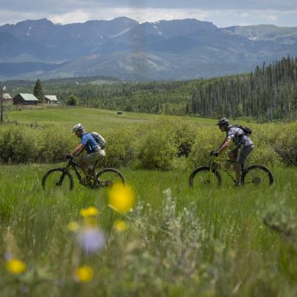 Mountain Biking through a picturesque meadow