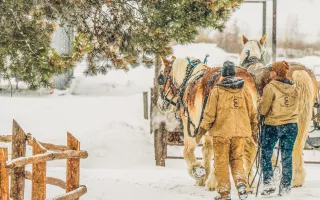 sleigh ride in winter