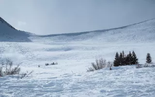 Avalanche Awareness