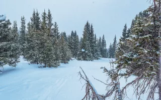 Colorado Backcountry