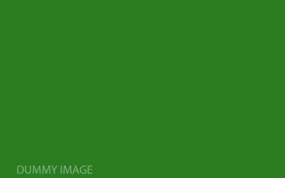 1200x900-green.jpg