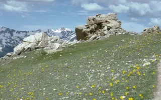 Continental Divide Scenic Trail