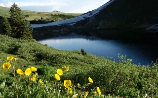Rollins Pass Alpine Lake With Yellow Flowers near