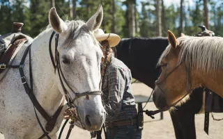 Winter Park Horseback Rides