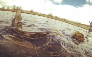 flyfish_0.jpg