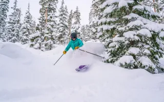Skier in Powder