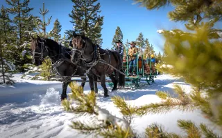Sleigh Ride - DTR
