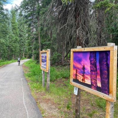 art trail signage