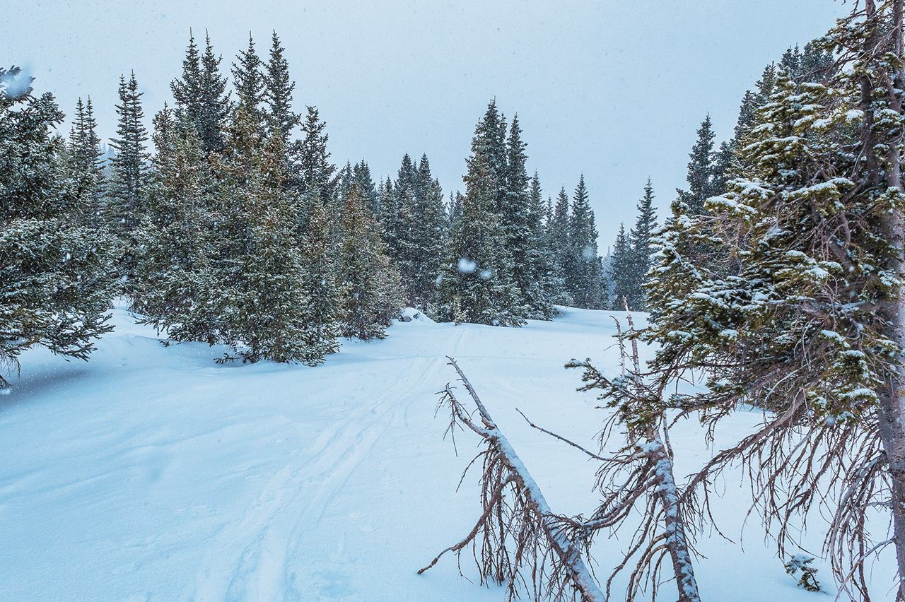 Colorado Winter Backcountry Scene