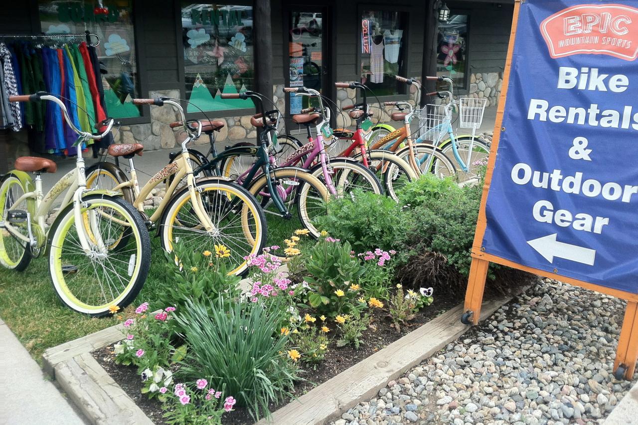 giant tricycle rentals near me