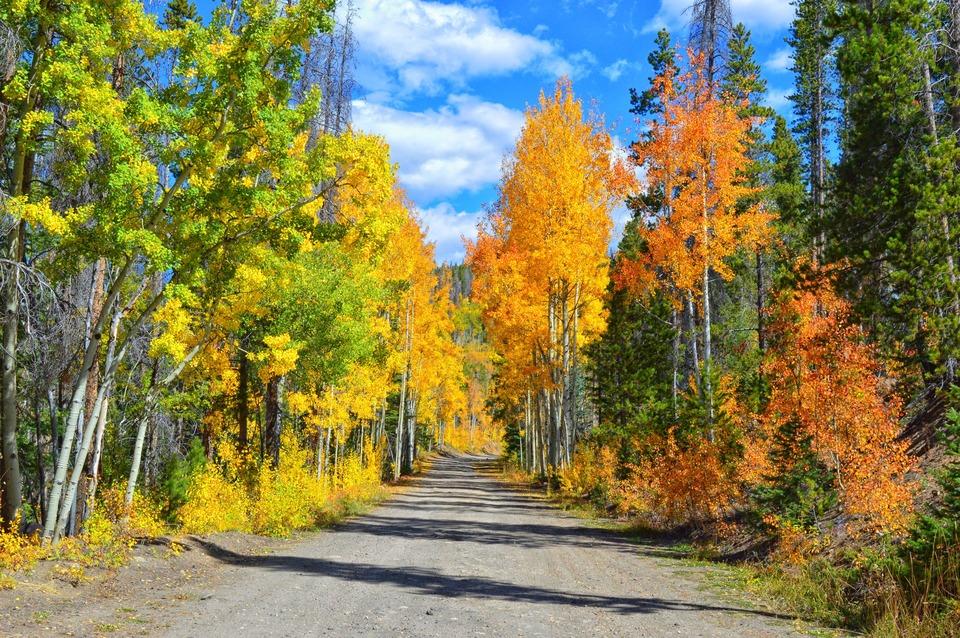 Corona Road in Fall near Winter Park, Colorado 
