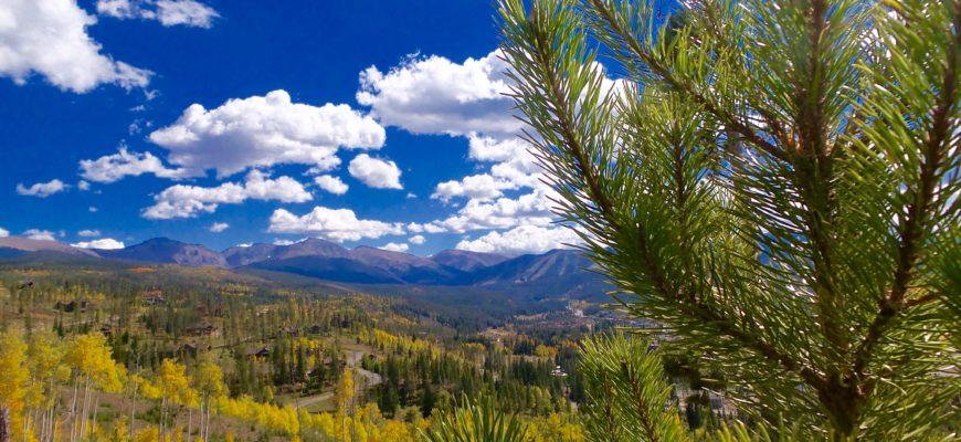 Fall Colors in Winter Park, Colorado