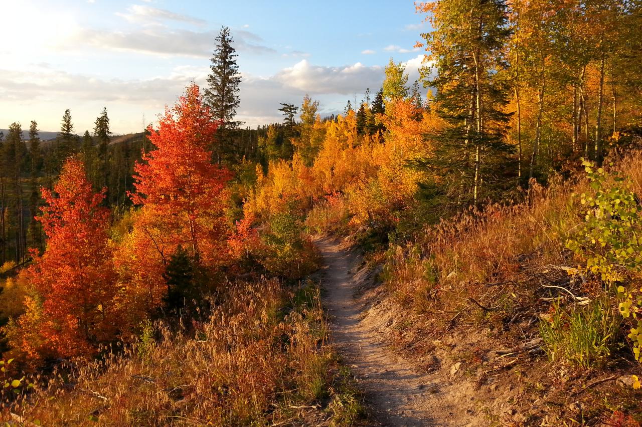 Best Fall Hiking Biking Trails Winter Park Colorado
