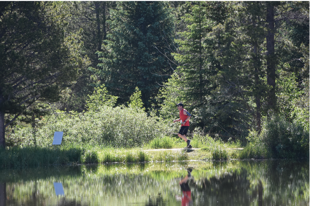 Virtual Run for Independence