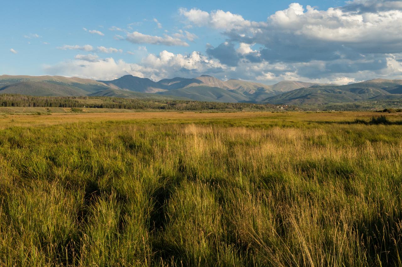 Scenic Meadow in Winter Park, Colorado 