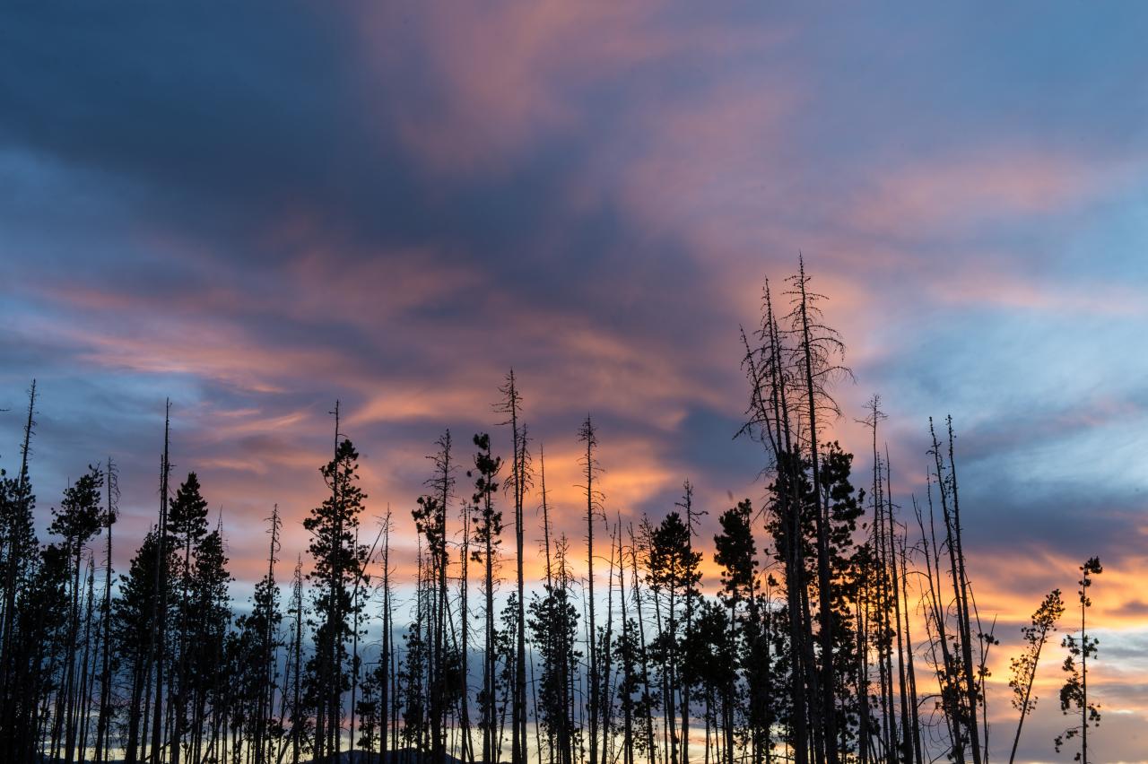 Summer Sunset in Winter Park, Colorado 