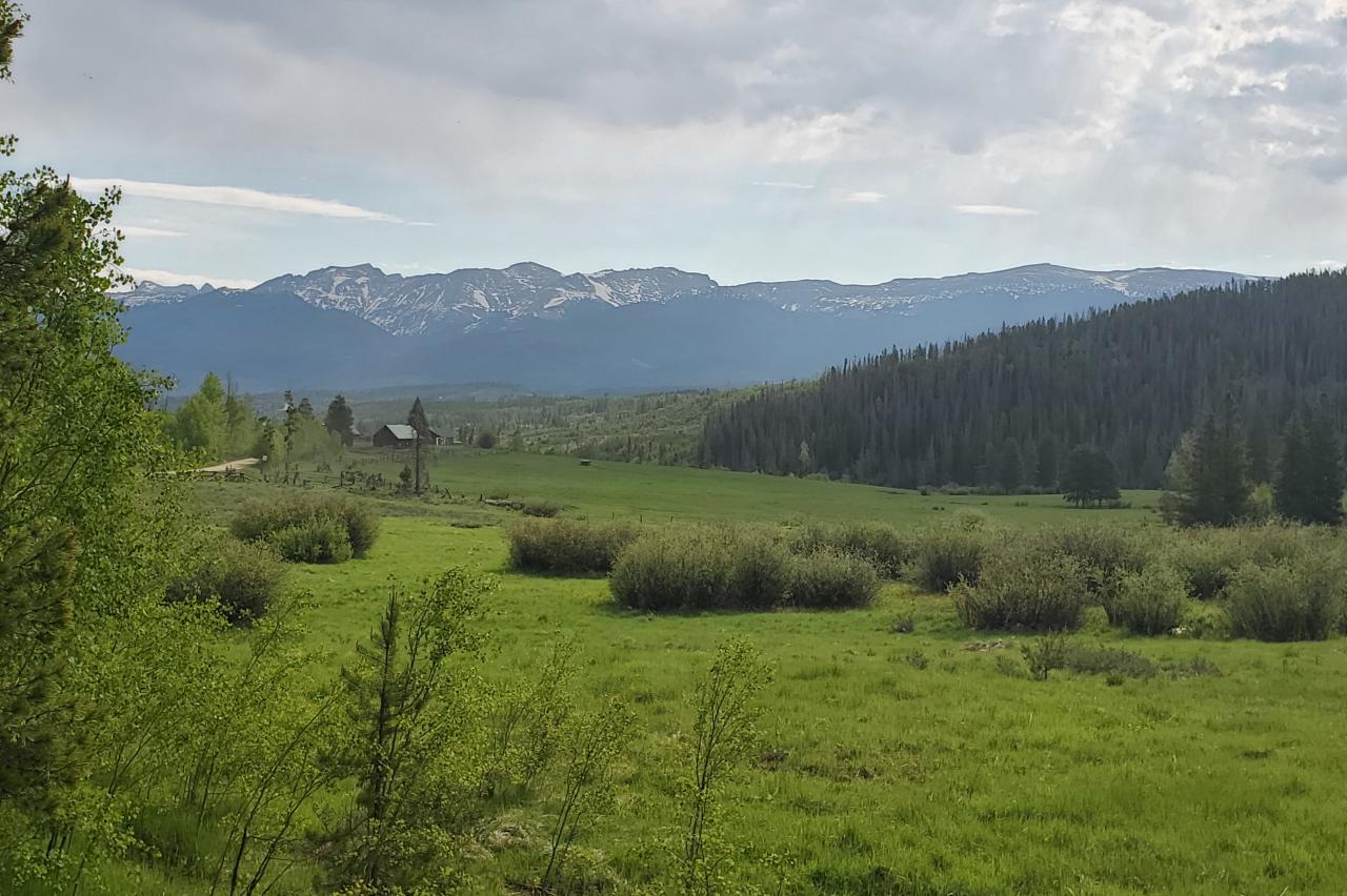 Fraser Valley Meadow