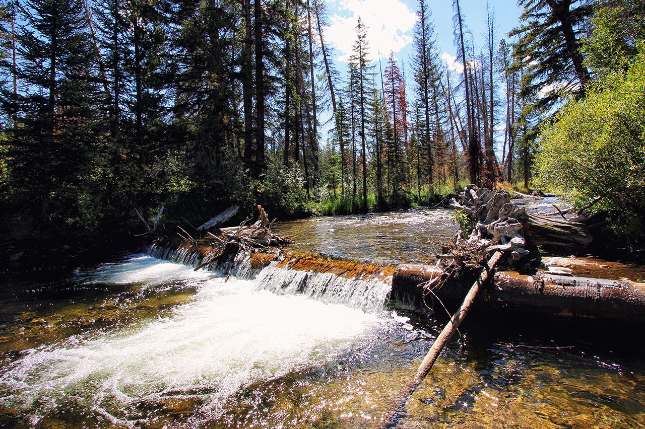 Colorado Waterfall Hike Colorado Waterfall Hike