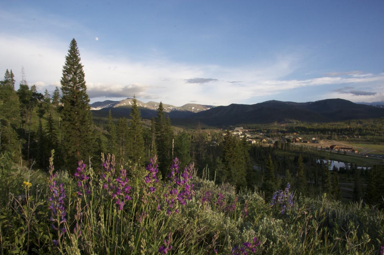 Winter Park Summer Winter Park Summer