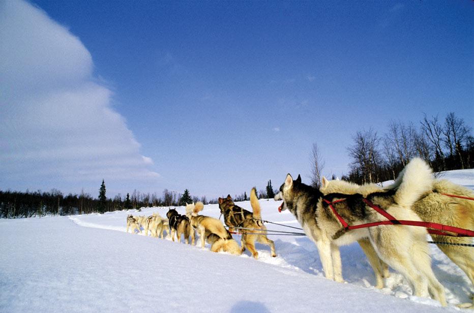Take a dog sled ride through Winter Park, Colorado