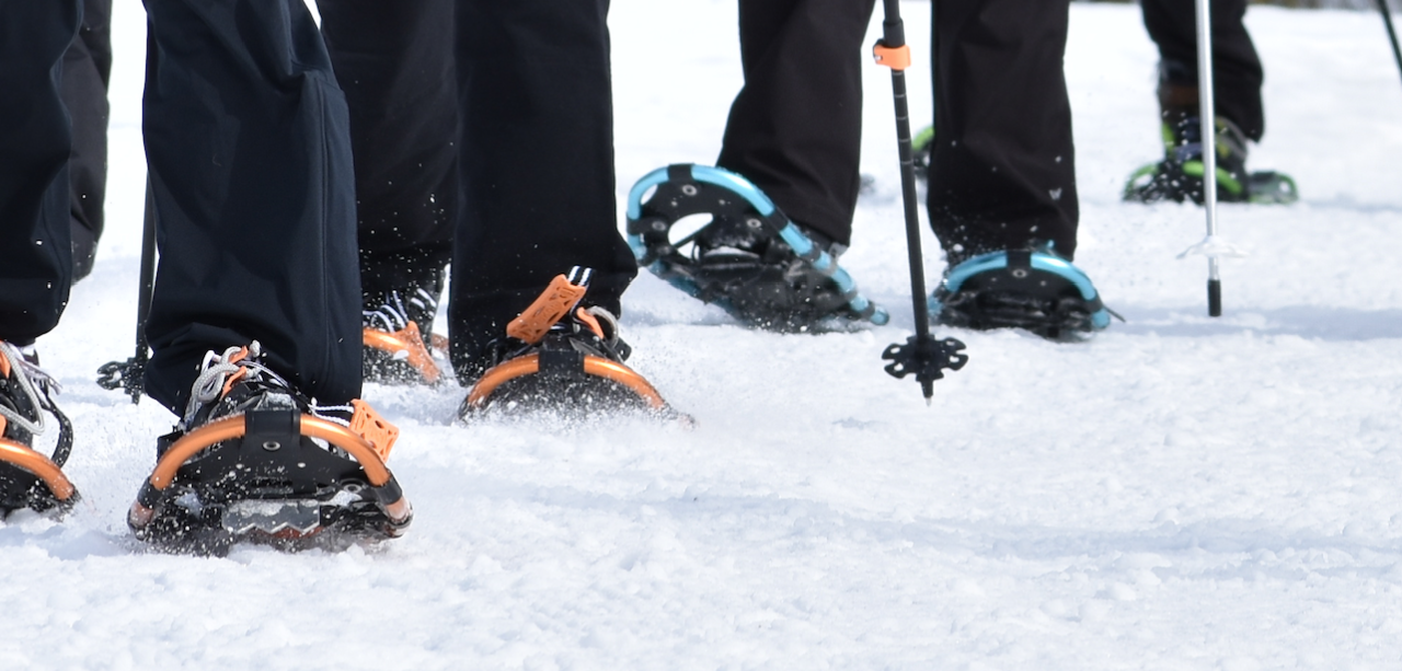 Snowshoe Group