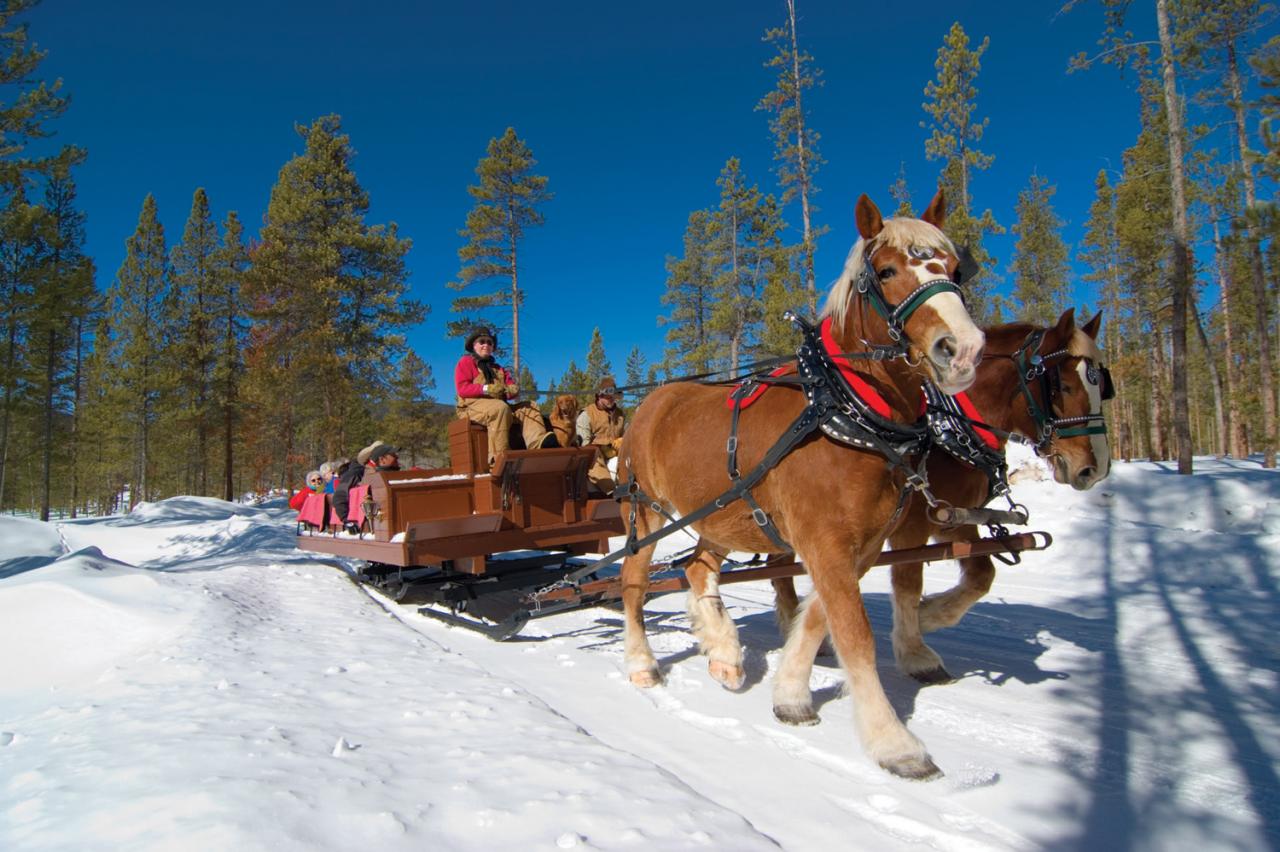 Sleigh Rides Winter Park, Colorado