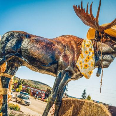 moose statue in winter park 