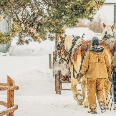 sleigh ride in winter