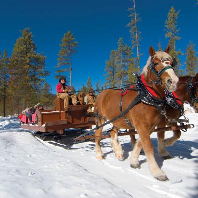 2993-SLEIGH-RIDE.jpg