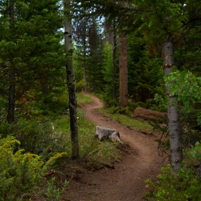 990-bike_fraser_canyon_trail.jpg