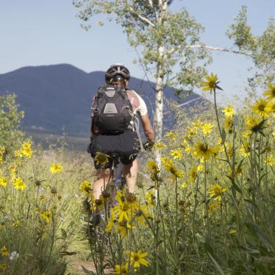 Bike Wildflowers.jpg