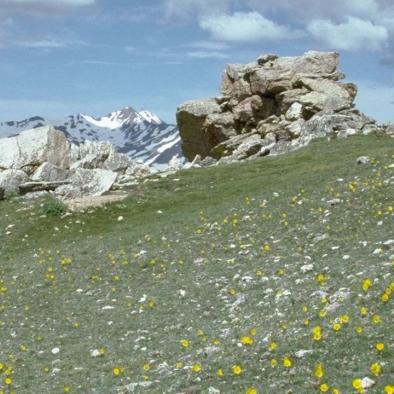 Continental Divide Trail.jpg Continental Divide Trail.jpg