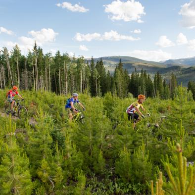 Cross Country Biking Trail Ride.jpg Cross Country Biking Trail Ride.jpg