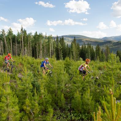 Cross Country Biking Trail Ride.jpg