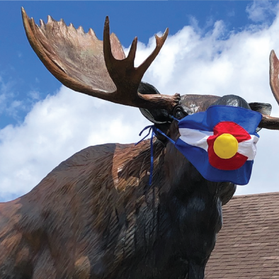Email_Templates_Moose_Web hero Image_0.png Email_Templates_Moose_Web hero Image_0.png