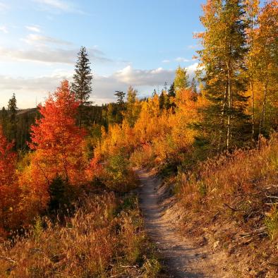 Fall_Hike.jpeg Fall_Hike.jpeg