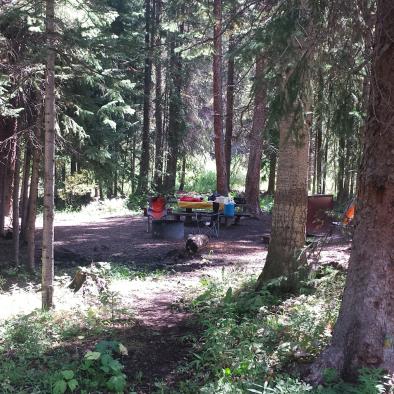 Family Campsite, Idelwild Campground.jpg Family Campsite, Idelwild Campground.jpg