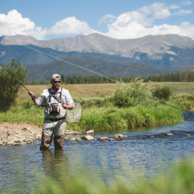 FlyFish2016.png FlyFish2016.png