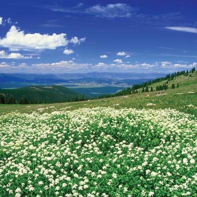 FraserValley_LR.jpg FraserValley_LR.jpg