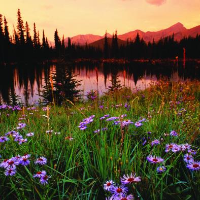 Mountain Lake & Meadow.jpg