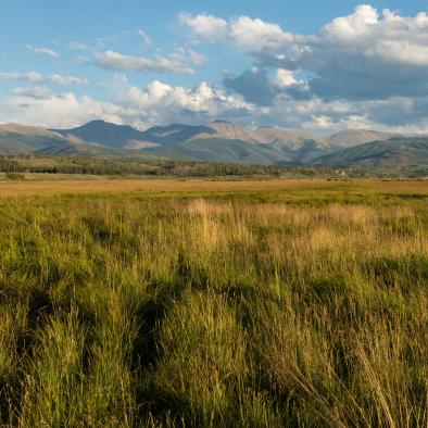 Scenic_meadow_fall.jpg