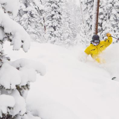 Ski_powder.jpeg Ski_powder.jpeg
